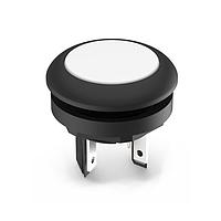 RAFI 1.15.210.101/2201 ປຸ່ມກົດຊົ່ວຄາວ LUMOTAST 16 Ill. ປອດແລ້ວ