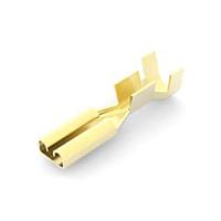 AMP Connectors - TE Connectivity 170042-1 ຮອບຮອງ .110 FASTIN-FASTON RECPT L.P.