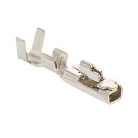 AMP Connectors - TE Connectivity 175155-2 ພາວເລີ້ມໃຫ້ກັບບອດ U/P REC CONT L/P