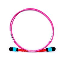 Techway EXTENDER MTP24-F 1M POLARITY A ການປະກອບສາຍເສັ້ນແອບຕິກ MTP/MPO ສາຍຫຼັກ OM4 24-Core MTP ເຖິງ MTP ປະເພດ Polarity A, ສີມ່ວງ, ຄວາມຍາວ 1m