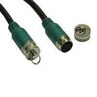 Tripp Lite EZA-100-P ສາຍຕໍ່ຍາວວິດີໂອ 100FT TYPE A PLNM ESY PULL CBL