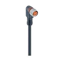 Lumberg Automation RKMWV 4-500/2 M ເສັ້ນສາຍອ່ານຄ່າ / ເສັ້ນສາຍກະທົບ