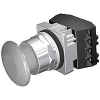 SIEMENS 52PM9W6G ປຸ່ມກົດ PUSHBUTTON,MOM,GRY,1 3/4" PLST,2POS,2NC