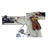 True Phantom Solutions TO-A04 ຮ່າງກາຍຜູ້ໃຫຍ່ (ການເຄື່ອນໄຫວ) ສໍາລັບ X-Ray CT, US