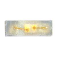 Inolux IN-S42DS5B ເລດສີດຽວມຸມຂ້າງ / 0402 / 1.0 x 0.55 x 0.3