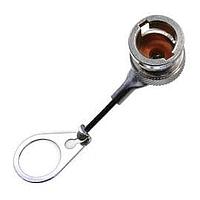 Trompeter / Cinch Connectivity Solutions RFI75TL-12-D3 ອຸປະກອນເສີມ TRB JK RFI Cap ພ້ອມກັບສາຍ SS 2.5"