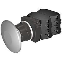 SIEMENS 52BM9V6D ປຸ່ມກົດ PUSHBUTTON,MOM,GRY,21/2PLST,2POS,4NO-4NC