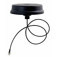 Laird External Antennas LPS69273NT-61SMAM ອະນຕີນາພາສິບ INFRA M2M, OMNI SISO