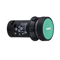 SCHNEIDER XB7NA3131 Flush PB - ສົ່ງກັບສົ່ງກັບສີຂຽວ -1NO - ຂາວ I