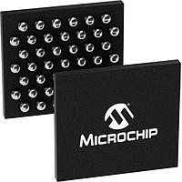 Microchip Technology ZL38AMBUGB2 ກ້ອງວິດີໂອຄວາມປອດໄພ Ambarella IP Camera Audio Processor