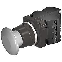 SIEMENS 52BM9W6C ປຸ່ມກົດ PUSHBUTTON,MOM,GRY,1 3/4" PLST,2POS,3BJK