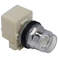 Square D 9001K1L35 ກັບກັນ PSH BTTN OPRATR 30MM ປະເພດ K