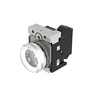 EAO 45-1T00.20K8.000.400 ອິນດິເຄດເຕີ (45-1T00.20K8.000.400)