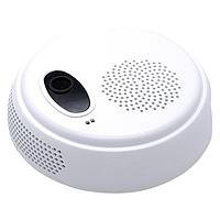 ຕົວສະເລີຍຄວາມໃກ້