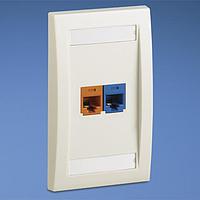 Panduit CFKE2F6U3F ປຸ່ມຕໍ່ຕໍ່ມູນ / ປຸ່ມຕໍ່ຕໍ່ Ethernet ແຜ່ນຫນ້າ 2 ພອດ Exec 1 Cat6 ແລະ