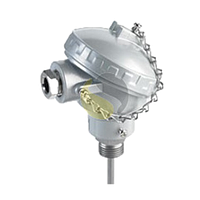 Sterling Sensors TMNPIN6MM500005N ແຮ່ Insulated Thermocouple ກັບມາດຕະຖານ (KNE) ຫົວແລະຂະບວນການ Fitting (Type N; Nicro 6mm x 500mm)