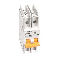Weidmuller 2478870000 Thermal-Magnetic MCB 489 2P D 6A ACDC