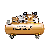 PEGASUS TM-V-1.05/12.5-330L Belt Drive Air Compressor (380V, 12.5 Kg/cm, 330L)