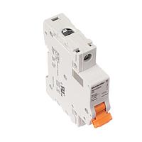 Weidmuller 2480180000 ຕັດກວດວົງຈອນ MCB 1077 1P C 32A ACDC