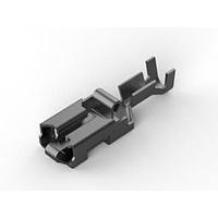 AMP Connectors - TE Connectivity 160759-3 ປະຕູຮັບ Receptacle RCPT 20-16 AWG .250 ມົນມົນ 1500