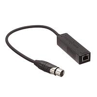 ສາຍສຽງ / ວິດີໂອ / RCA