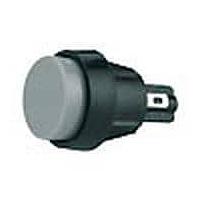 Marquardt Switches Inc 5000.0212 ປຸ່ມກົດສະຫນອງມາດຕະຖານ