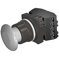 SIEMENS 52BM9W6B ປຸ່ມກົດ PUSHBUTTON,MOM,GRY,1 3/4" PLST,2POS,2BJK