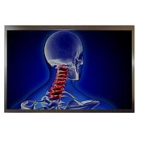 ຈໍ TFT ແລະອຸປະກອນສົນທະນາ