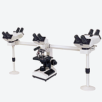 HINOTEK XSZ-N204 Multi-Viewing Microscope