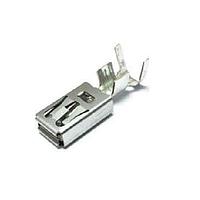 Aptiv 10780234 ຂໍ້ຕໍ່ ASM TERM DCS1 9.5MM F BOX VER