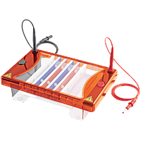 Major Science ME15-7-10-15 Midi plus-2 ລະບົບ Electrophoresis Horizontal (265x175x90mm; plus 2)