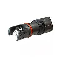 Amphenol Fiber Optics 942-98468-10002 ການປະກອບສາຍເສັ້ນແອບຕິກ PIGTAIL, H-CONN, SM FLAT DROP CABLE, 2m