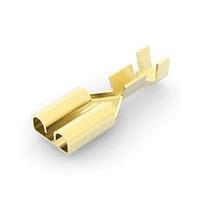 AMP Connectors - TE Connectivity 5-160558-1 Tab RECPT 6.35 x 0.81 mm