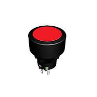 NKK Switches LP0115CCKW01A/CUL-WL ປຸ່ມກົດສະລິບ SWITCH PUSHBUTTON