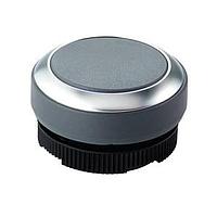 RAFI 1.30.270.021/0700 ສະຫນອງສະຫນອງ Switch Actuators RAFIX 22 FS Plus Pushbuttn Slate Grey