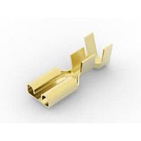 AMP Connectors - TE Connectivity 42904-1 ຮອບຮອງ .250 FF RCPT 16-12 016BR