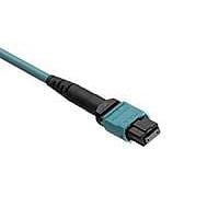 Molex 106284-1002 ການປະກອບສາຍເສັ້ນແສງ Fiber Optic CXP Optical Cbl MTP toMTP MM50 OFNR 2m