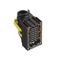 Aptiv 33276631 ຕົວເຊື່ອມຕໍ່ 21 ທາງ F 2.8 CTCS SP Connector