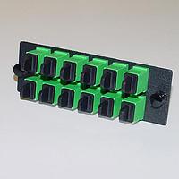 Panduit FAP6WAGSCZ ອຸປະກອນເສີມ FAP W/6 SC APC Simpl Adapters (AG) Zirco