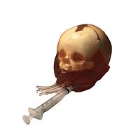 True Phantom Solutions HD-N03 ຫົວເດັກເກີດໃໝ່ (ການເຄື່ອນໄຫວ) ສໍາລັບ X-Ray CT, US, MRI