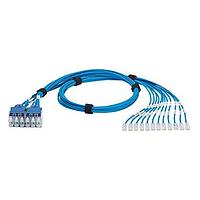 Panduit QPPCCBBB10 ຊຸດປລັກ Cat 6 QN ກະປຸກ Asmbly, 12 ຊຸດ, BU Cat 6 U