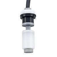 Cynergy3 RSF104H100JN ຕົວຈັບລະດັບນ້ຳ ຕັ້ງຕົວແຂນຕັ້ງ, ຕິດຕັ້ງພາຍນອກ, PP, N/O, 100VA