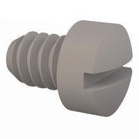 Essentra Components 011024F025 ກຸ່ມສະກຣູວຽກເຄື່ອງຈັກ Fillister Slotted Screw, #10-24 Thread, 1/4 Lg