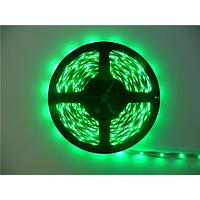 Inspired LED 12V-NB-GR-12M ບາແບຣແລະສະຕຣິບແສງສີເຂືອງ LED 517nm, 12 ໂວລ໌ ແສງສະຫຼອດປົກກະຕິ 12M