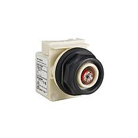 Square D 9001SKP38LR ຕົວຊີ້ວັດ PILOTLIGHT 120V 30MM SK