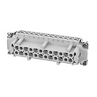 Amphenol Tuchel C146 10B024 400 1 ອິນເຊີດຟີເມລເອັດ 24 ໂພນ