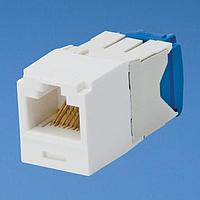 Panduit CJ6X88TGAW Modular Mini-Com Mod Cat 6A UTP 8 pos 8 wi
