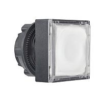 SCHNEIDER ZB5CW313 ເຟລັດ SQR FLUSH ILLUM ສໍາລັບ PRTCTD LED ຂາວ