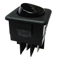 ສະຫຼອງຢູ່ລະດັບ