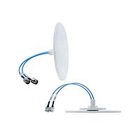 Laird External Antennas CFD69383P-B30D43F MIMO OMNI,DBAND,30cm,D43F OD250MM,ຊຸດຈຳນວນຫຼາຍ,1